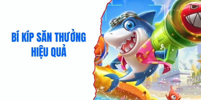 ban-ca-doi-thuong-meo