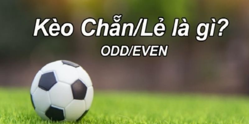 tim-hieu-ve-keo-chan-le