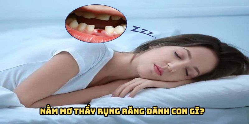 nam-mo-thay-rung-rang-danh-con-gi